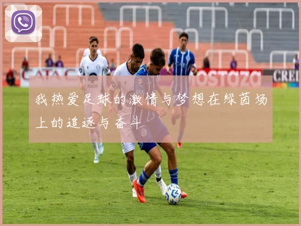 我热爱足球的激情与梦想在绿茵场上的追逐与奋斗