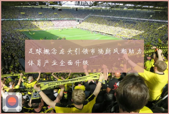 足球概念龙头引领市场新风潮助力体育产业全面升级