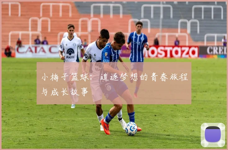 小梅子篮球：追逐梦想的青春旅程与成长故事