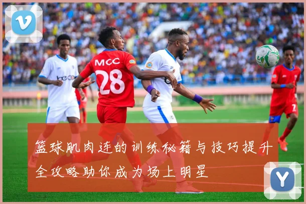 篮球肌肉连的训练秘籍与技巧提升全攻略助你成为场上明星