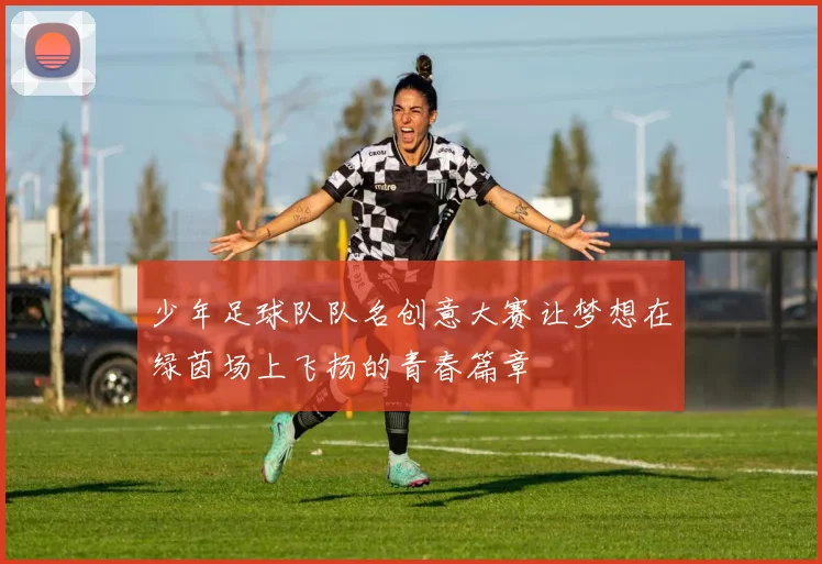 少年足球队队名创意大赛让梦想在绿茵场上飞扬的青春篇章