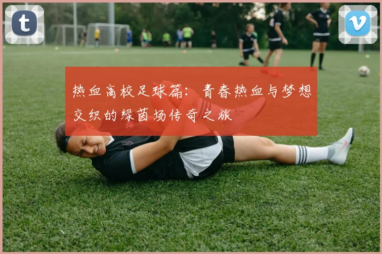 热血高校足球篇：青春热血与梦想交织的绿茵场传奇之旅