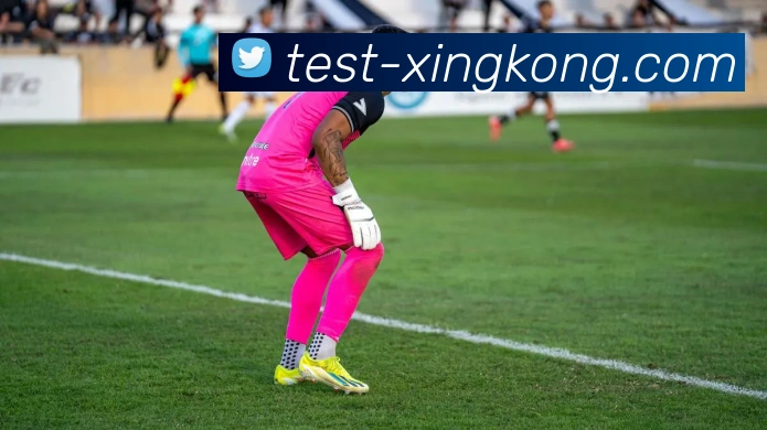 星空体育服务体系